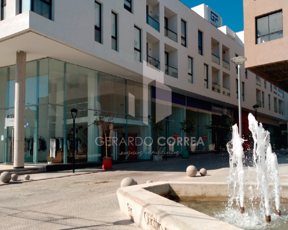 Departamento centrico, de 1 dormitorio, con cochera.